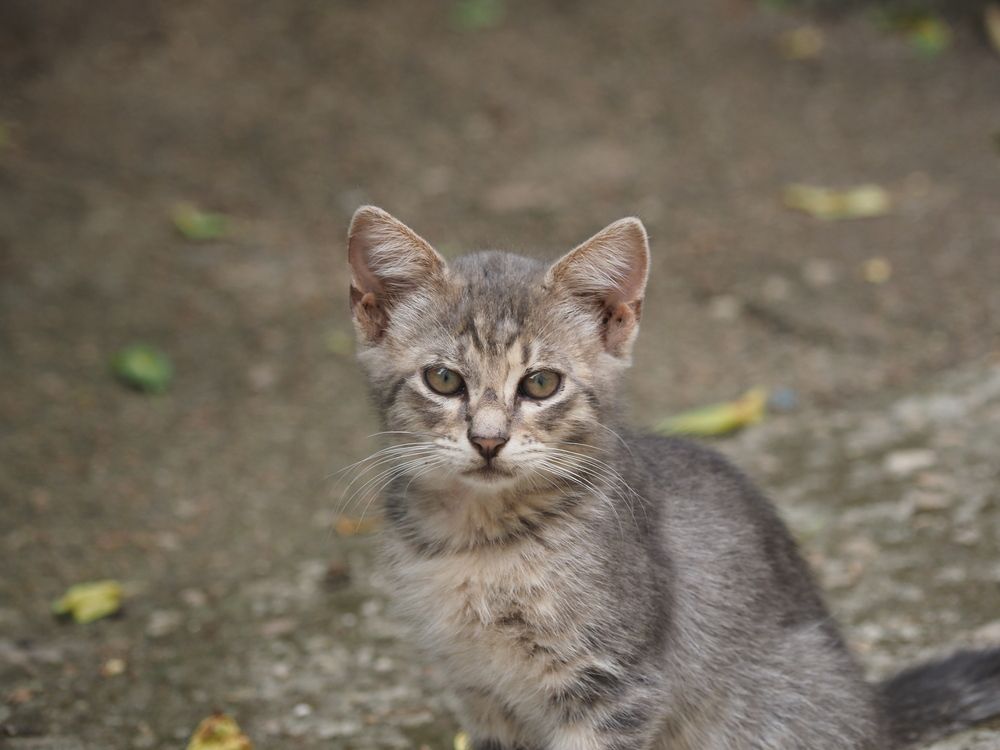 Photograph by Сергей Борисов