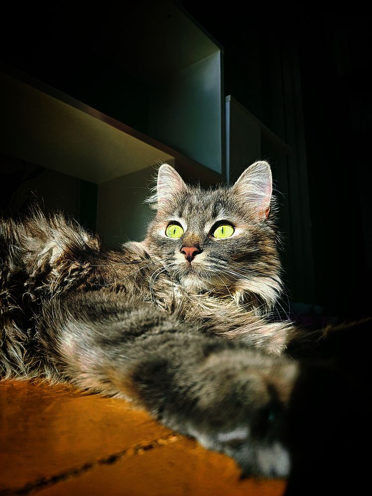 Photograph by Anna Grinkevich