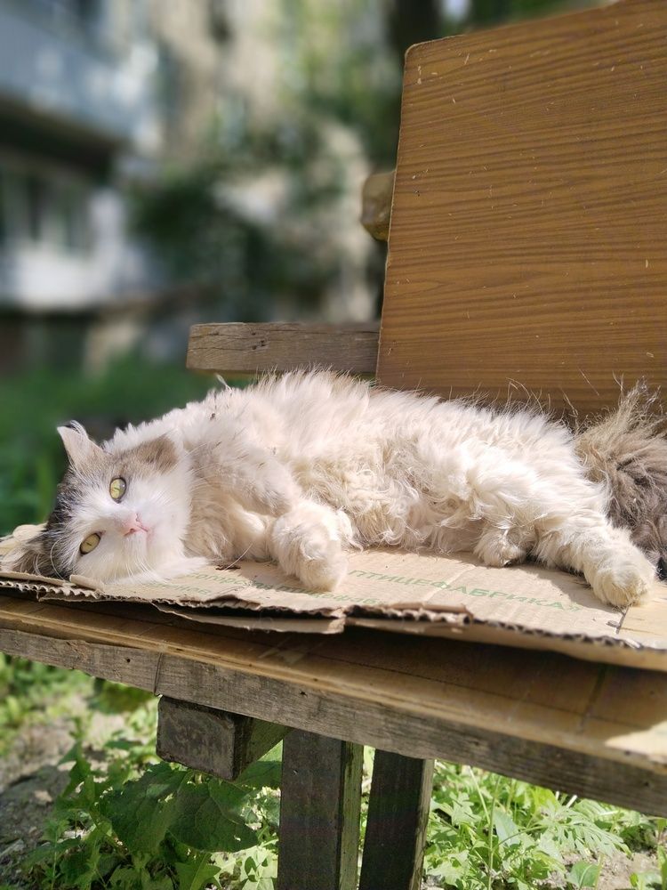 Photograph by Ольга Чернова