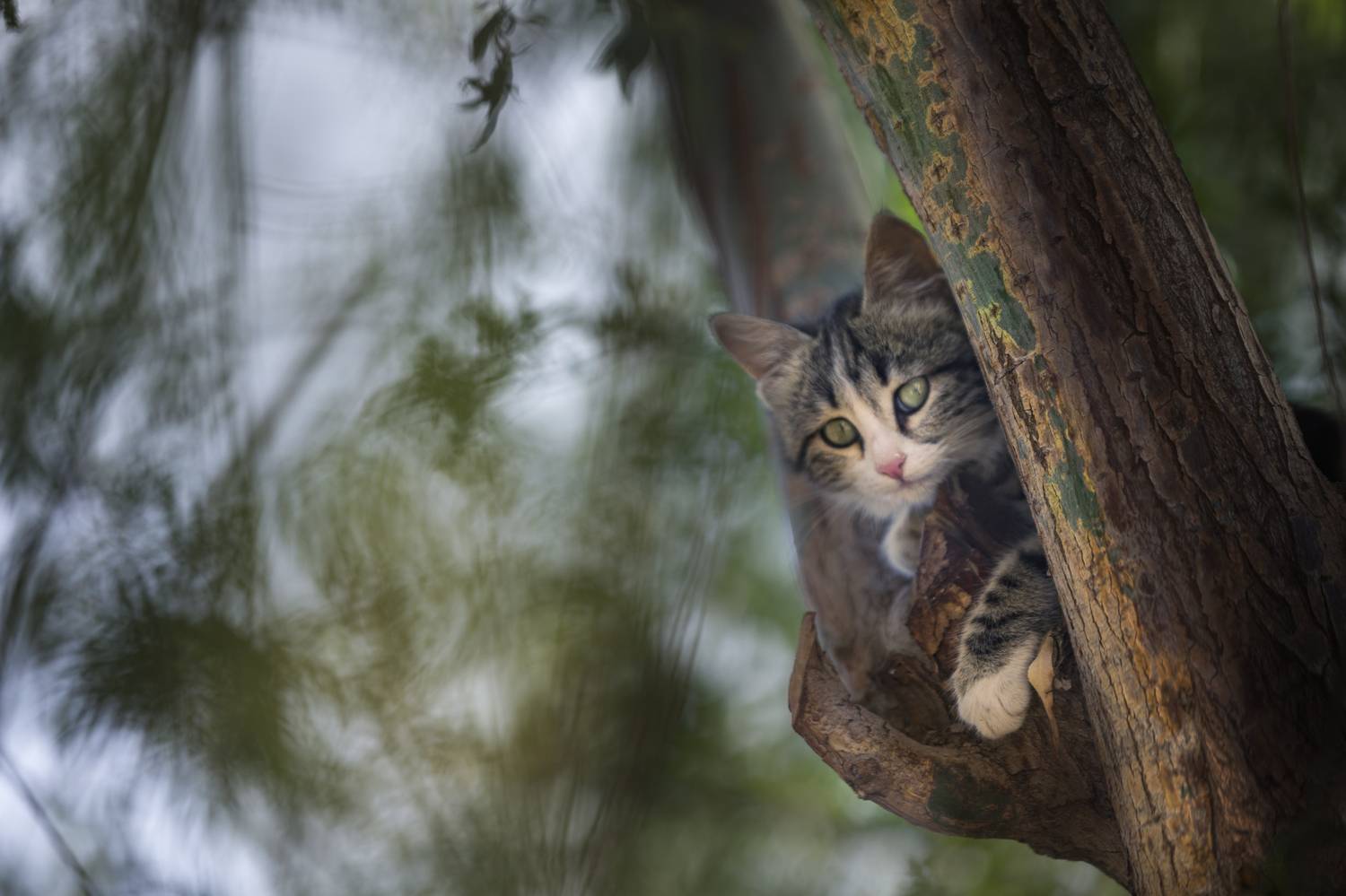 Фотография #12246800