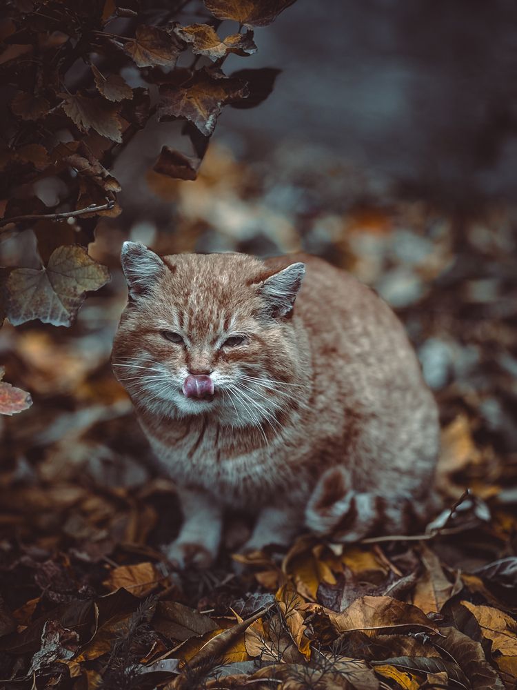 Photograph by Ольга Скиба