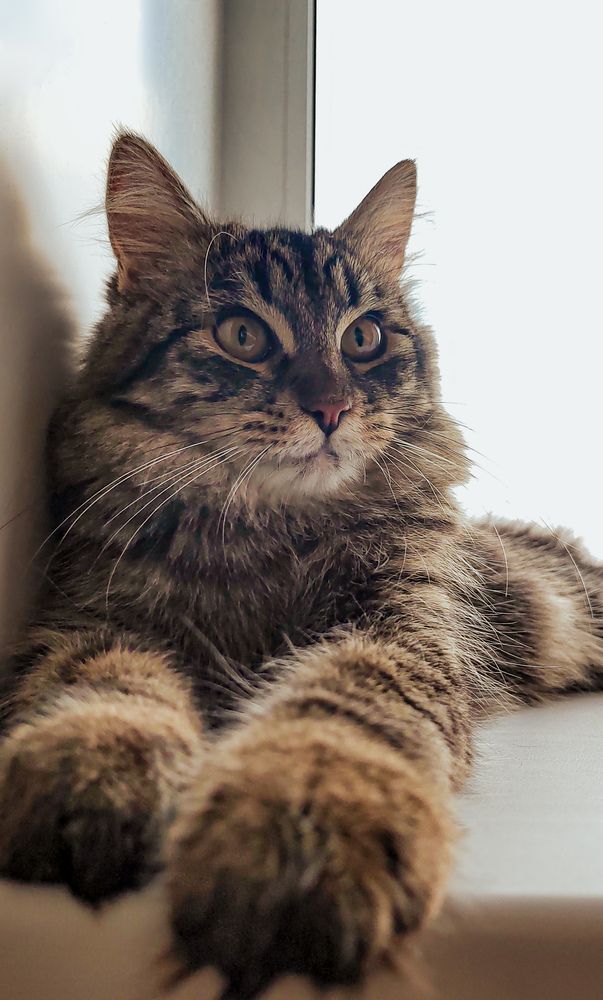 Фотография автора Александр Прожогин