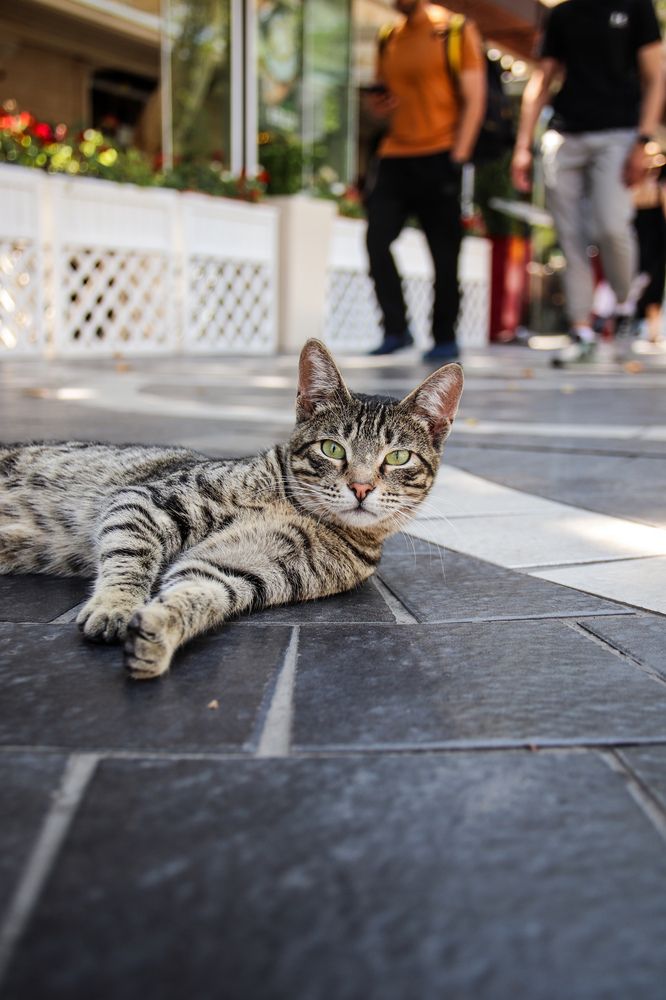 Фотография автора Александр Прожогин