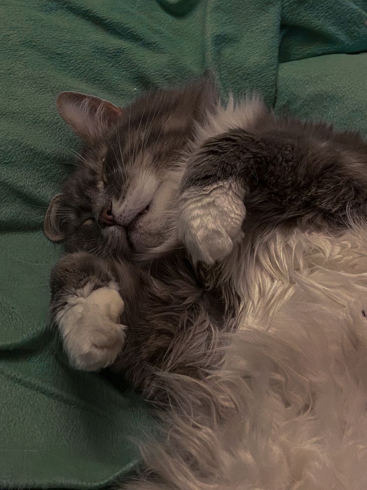 Photograph by Катерина Кирикова