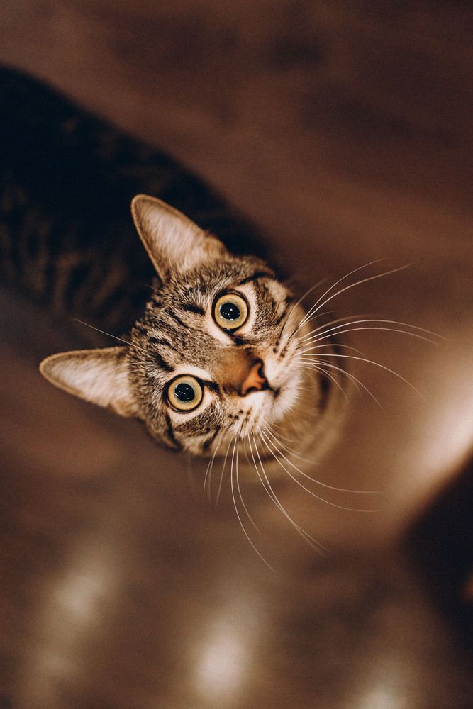 Photograph by Маргарита Поганова