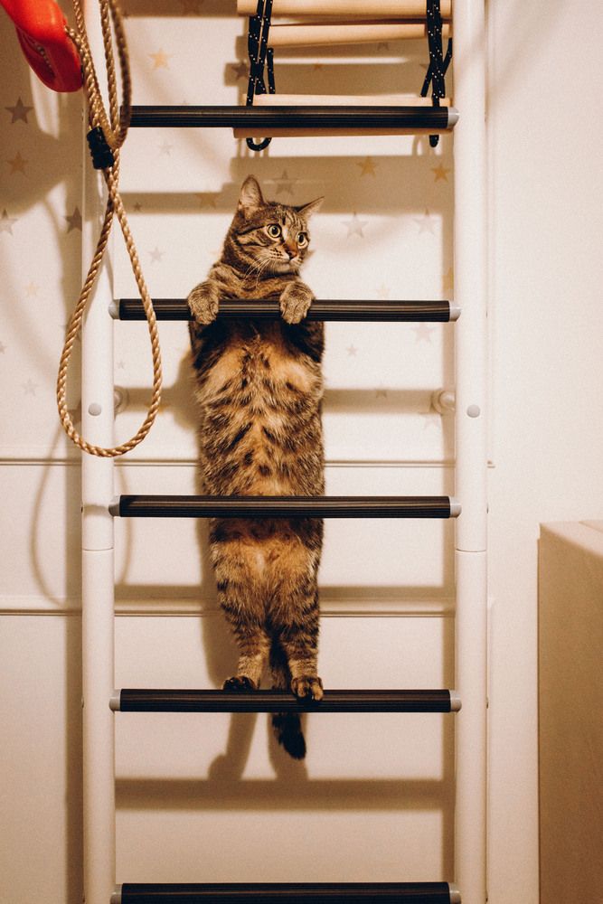 Photograph by Маргарита Поганова