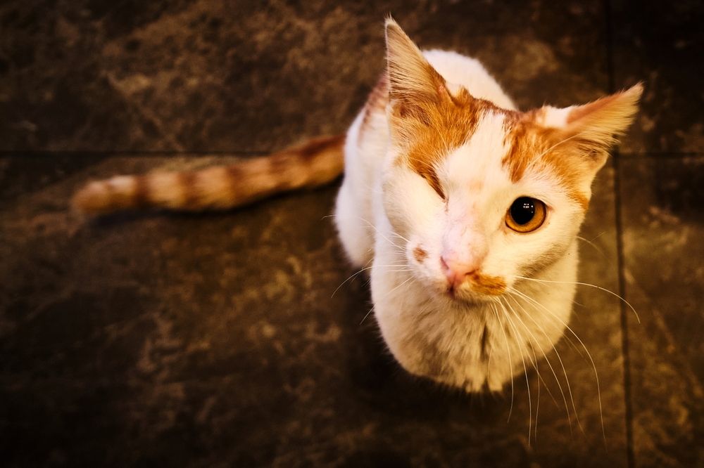 Photograph by OZHAN ARIOGLU