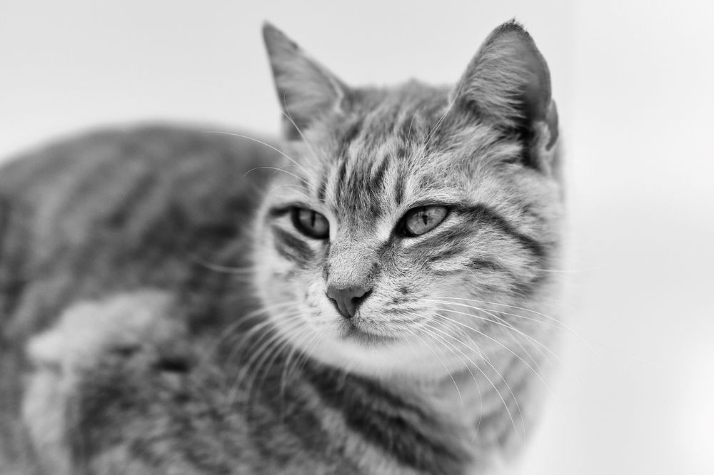 Photograph by OZHAN ARIOGLU