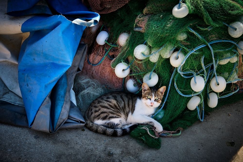 Photograph by OZHAN ARIOGLU