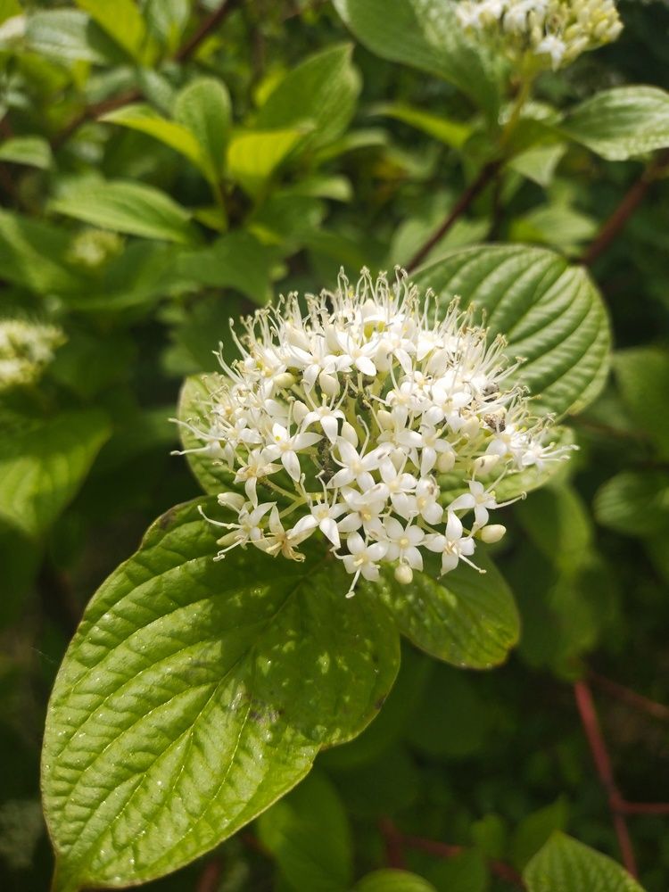 Фотография автора Мария