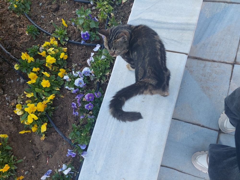 Photograph by reyhaneh zeidabadi nezhad