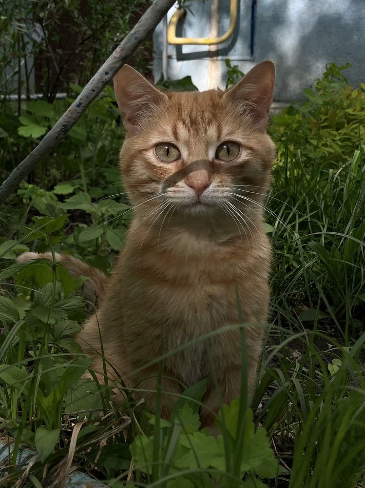 Photograph by Мария Карпычева