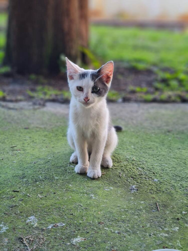 Фотография автора Aliaksandr Kazhdan