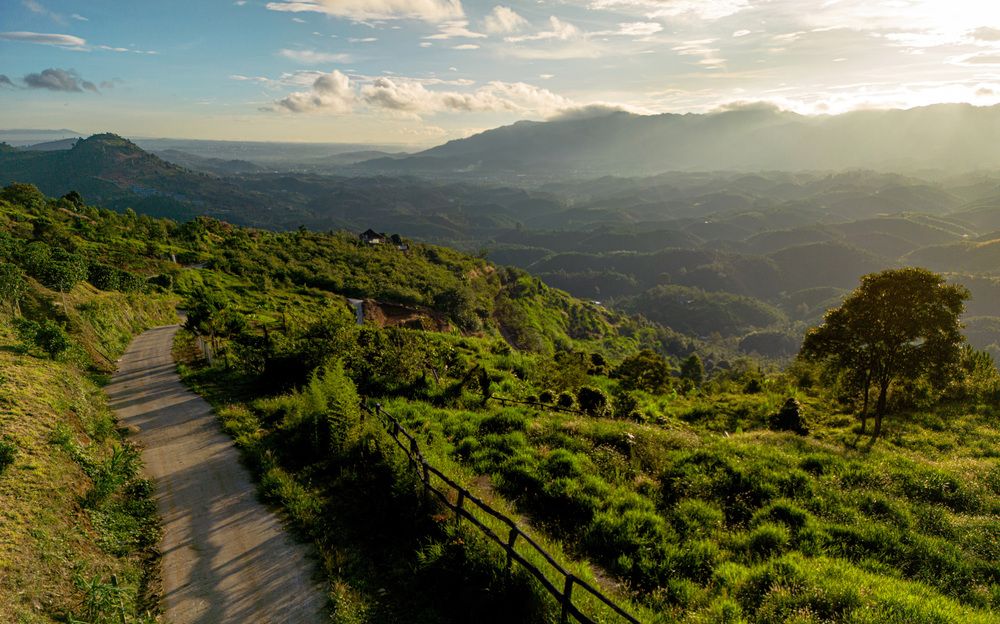 \"Whispers of the hills\"