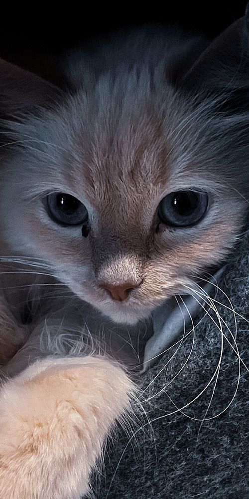 Photograph by Мария Карпычева