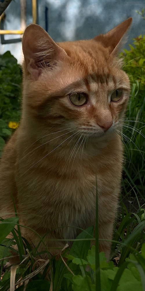 Photograph by Мария Карпычева