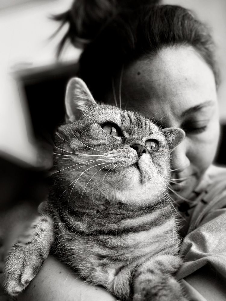 Photograph by Татьяна Азанбаева