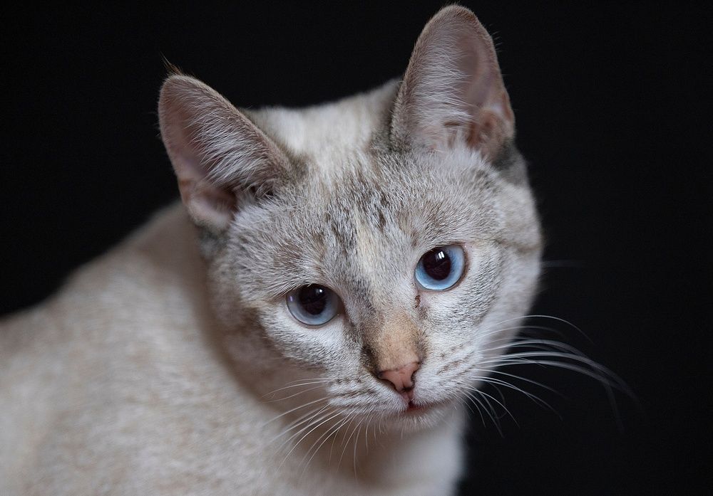 Photograph by Широких Александр