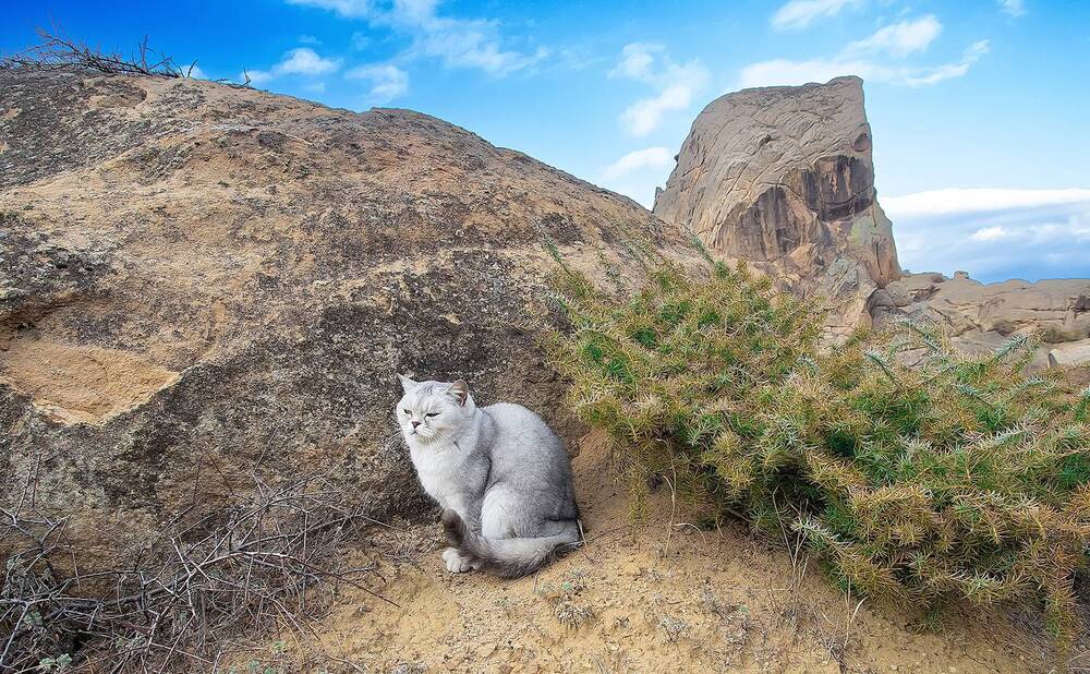 Photograph by Широких Александр