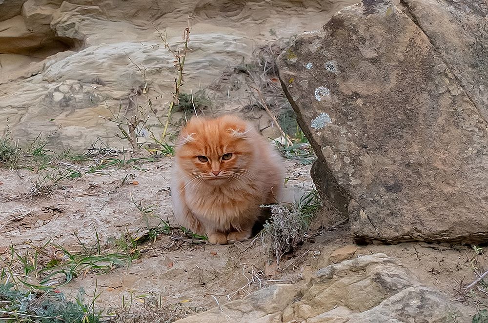 Photograph by Широких Александр