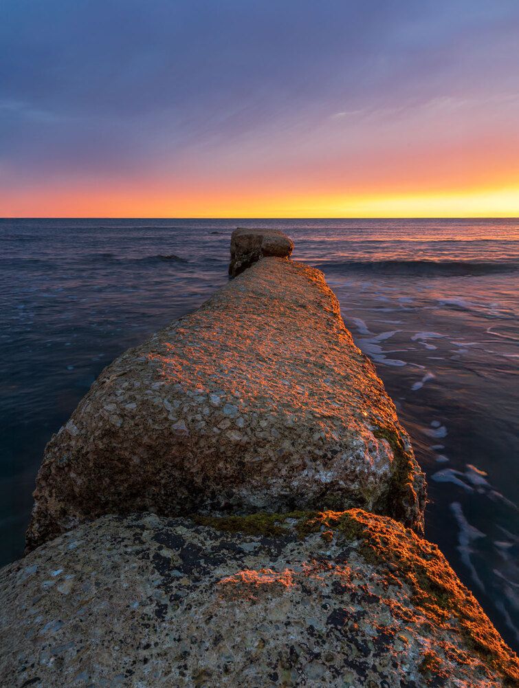 Photograph by Stefano Gelli