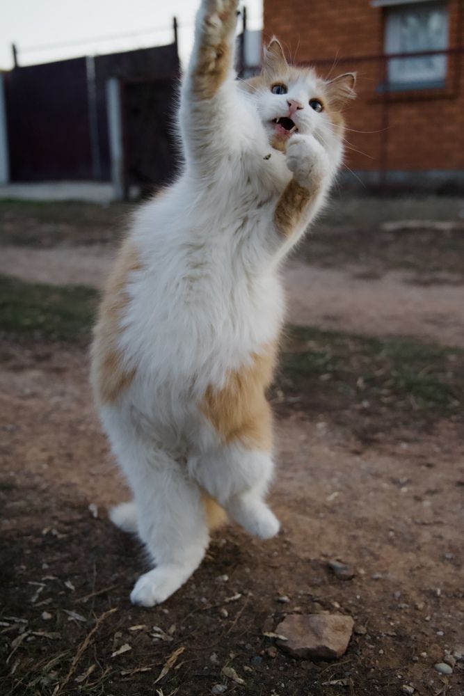 Photograph by Маргарита Спасенкова