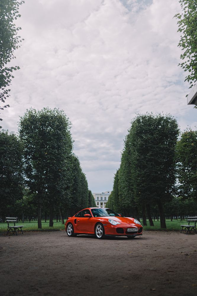 Photograph by Alexey Sapozhnikov