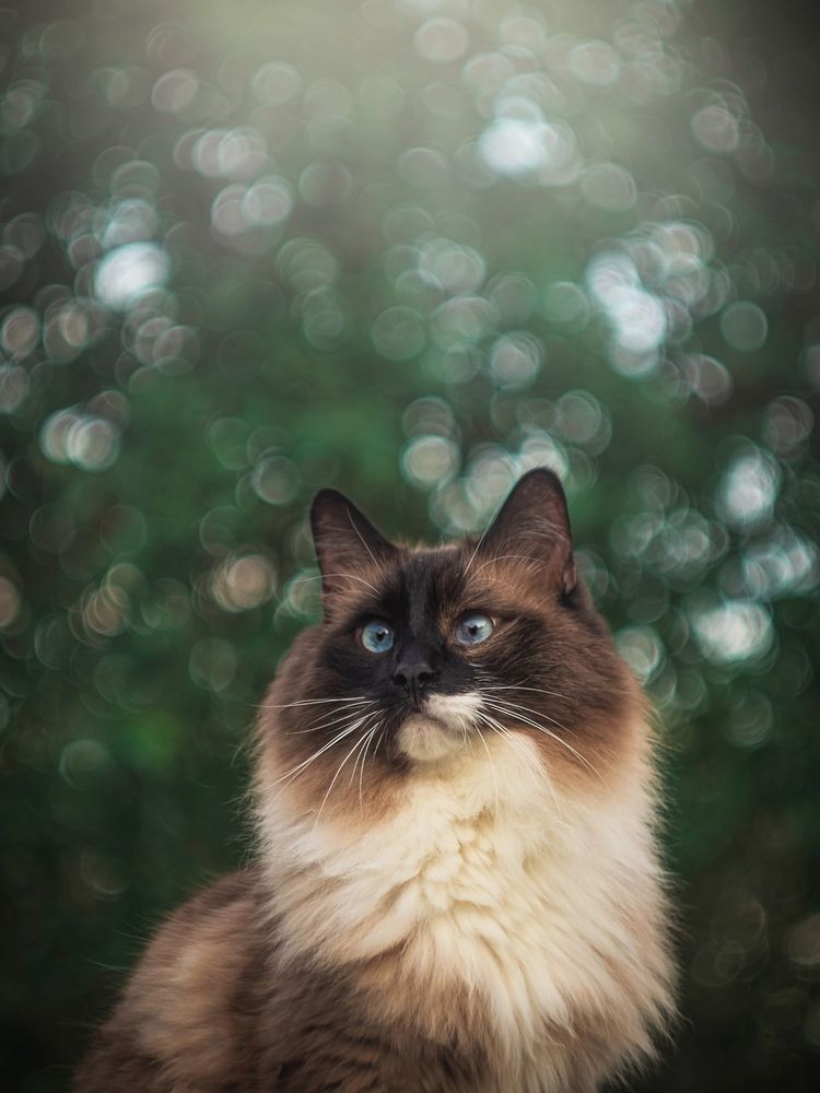 Photograph by Лапшина Владлена