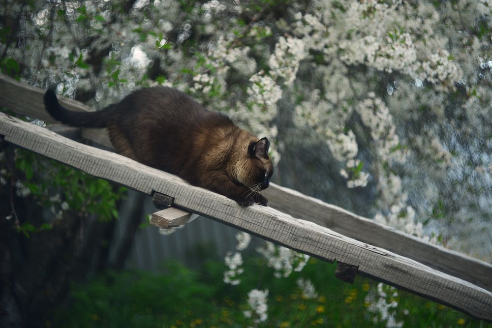 Photograph by Лапшина Владлена