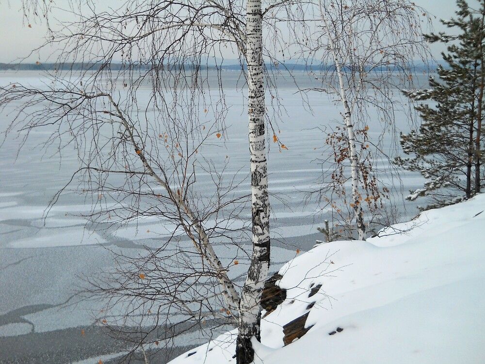 Photo #12247251