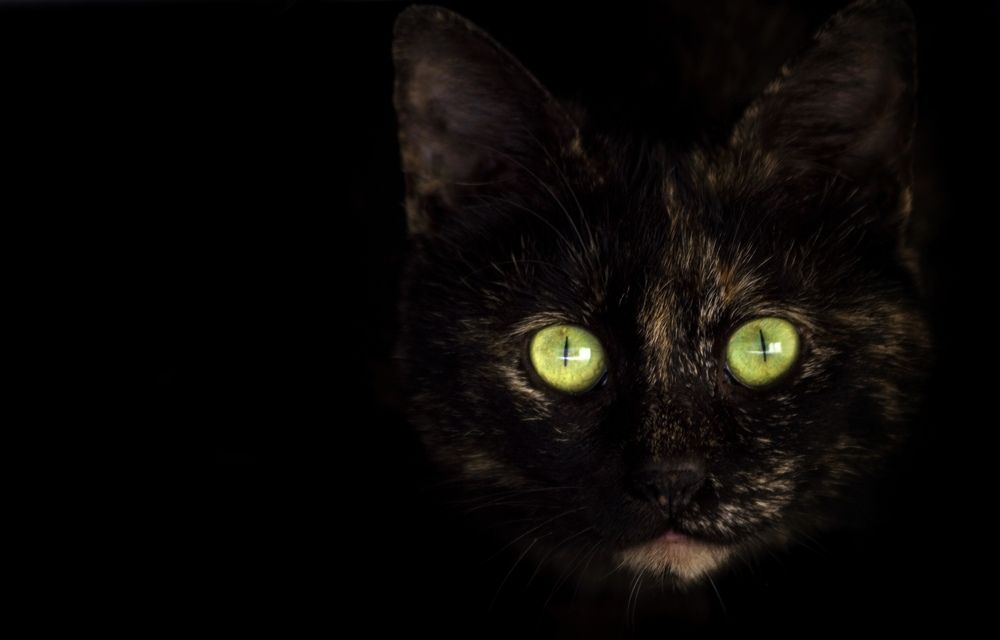 Photograph by Omar fox