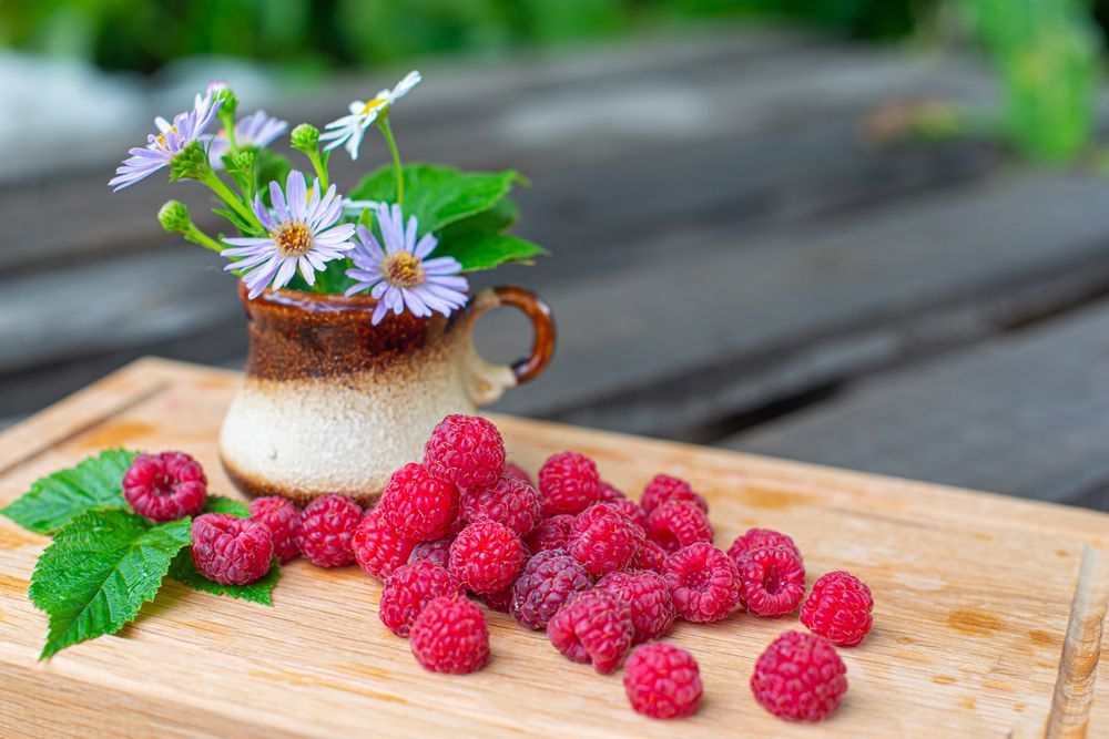 Photograph by Darina