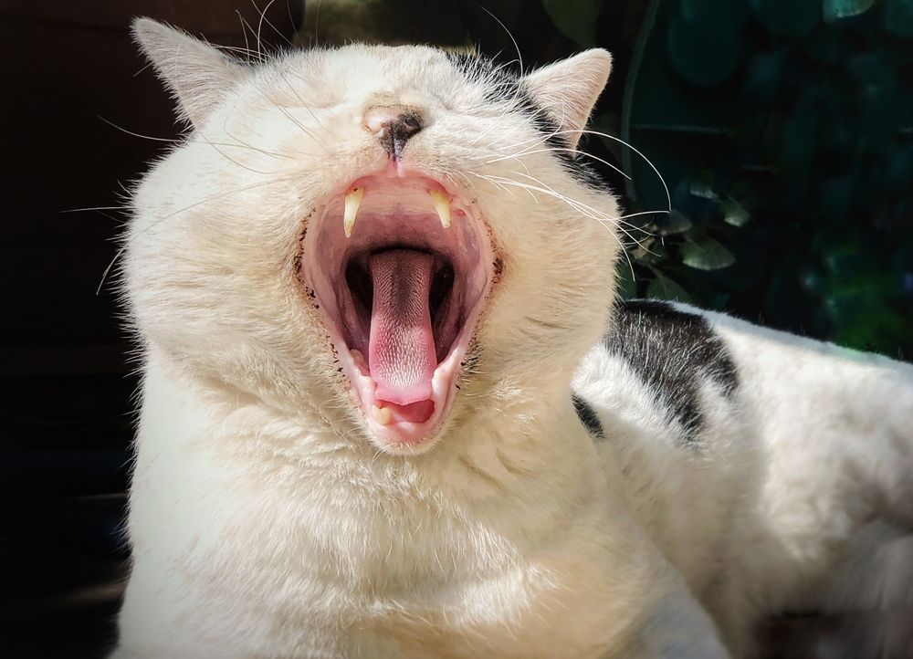 Photograph by Omar fox