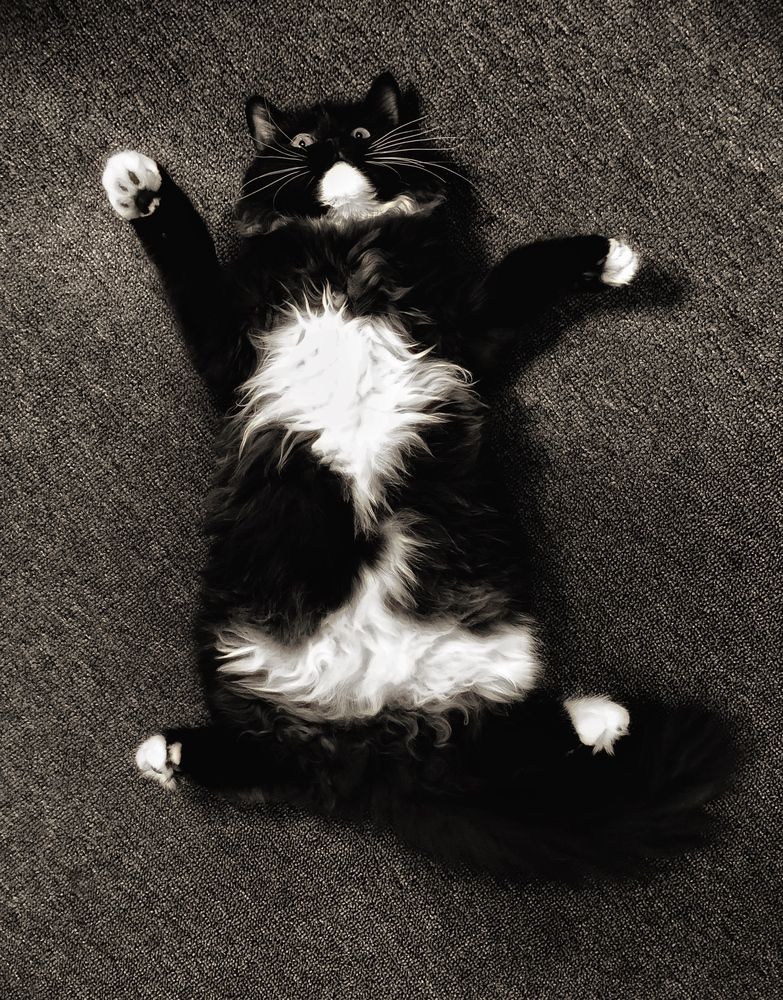 Photograph by Omar fox