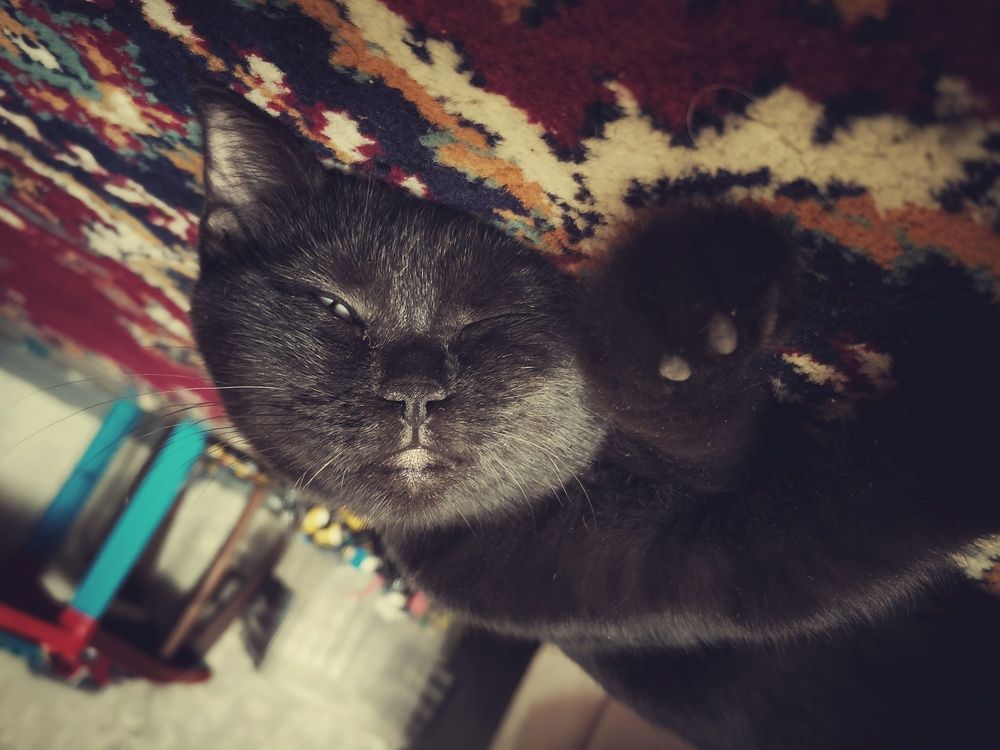 Photograph by Артур Нариманян