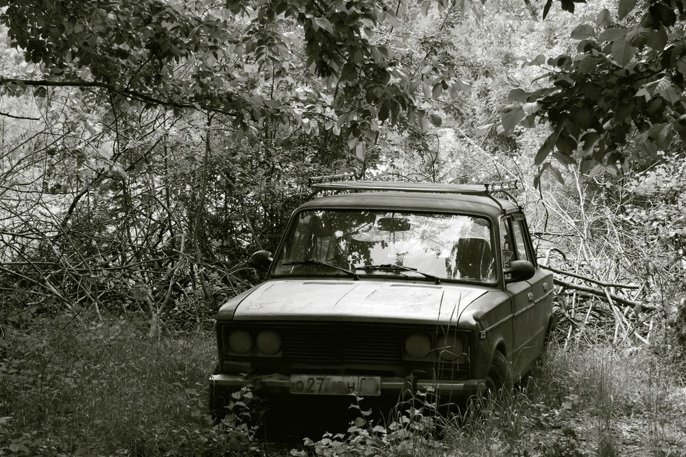 Photograph by Татьяна Стаскевич