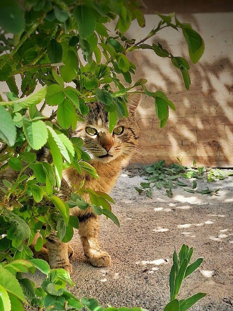 Photograph by Zahra akbari