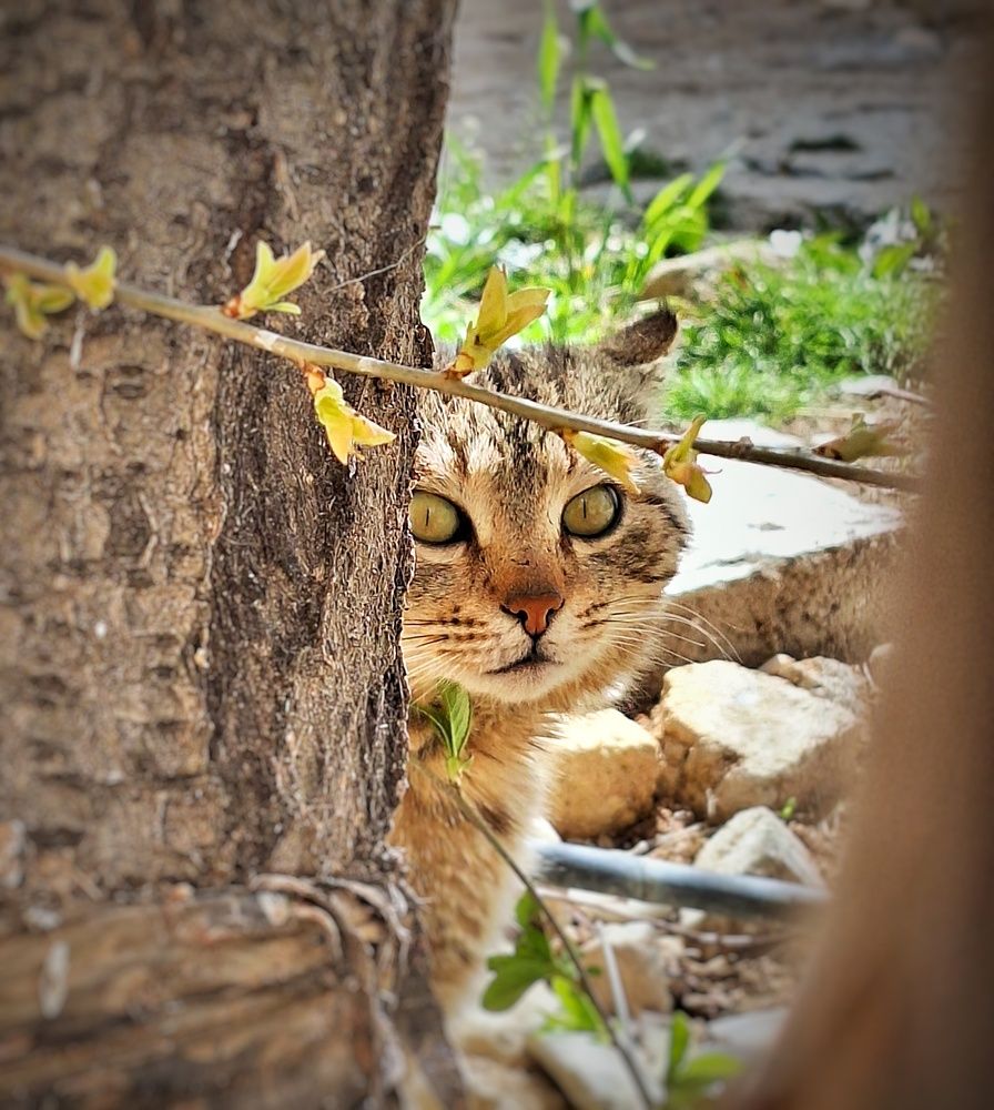 Photograph by Zahra akbari