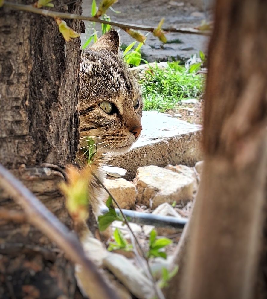 Photograph by Zahra akbari
