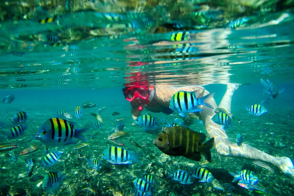 Photograph by Владимир Говоров