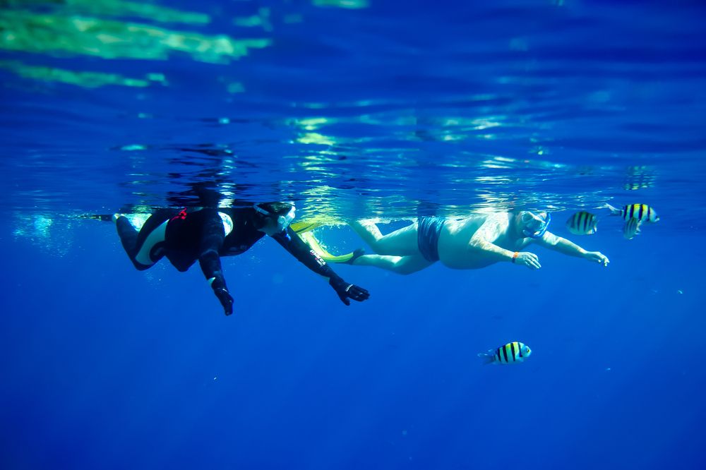 Photograph by Владимир Говоров