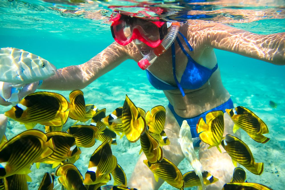 Photograph by Владимир Говоров