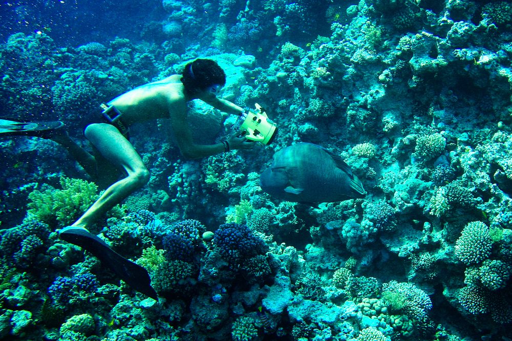 Photograph by Владимир Говоров