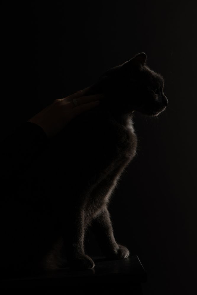 Photograph by Александра Малыгина