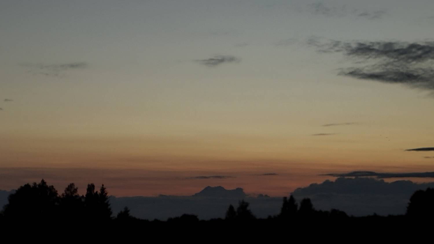 Photo #12247434