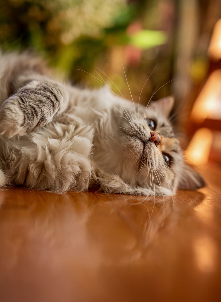 Photograph by Екатерина Каминская