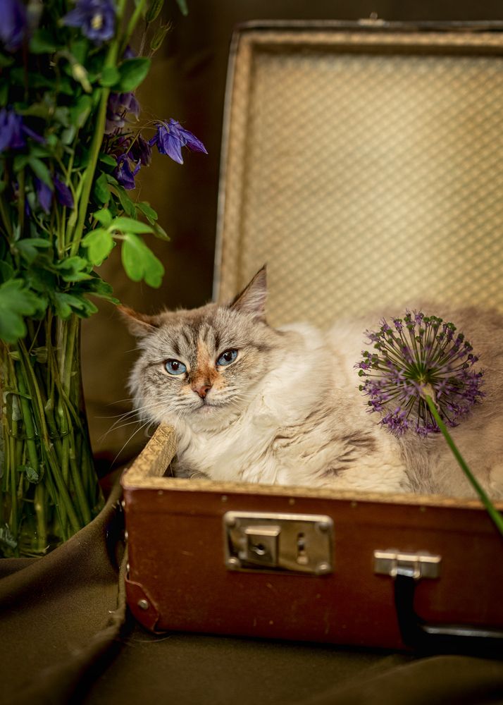 Photograph by Екатерина Каминская