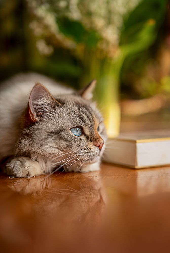 Photograph by Екатерина Каминская