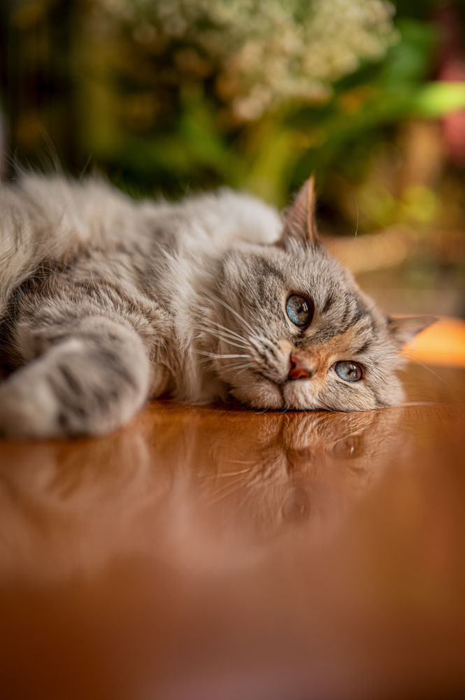 Photograph by Екатерина Каминская