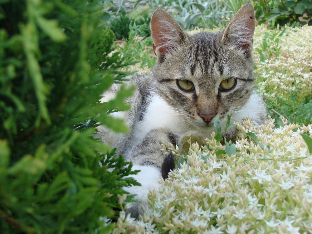 Photograph by Ксения Звонникова